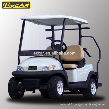 vente chaude 2 places golf électrique buggy